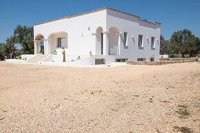 Stunning Villa Surrounded by Olive Trees - Beahost