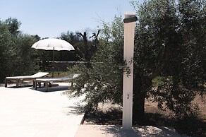 Stunning Villa Surrounded by Olive Trees - Beahost