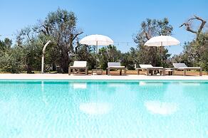 Stunning Villa Surrounded by Olive Trees - Beahost