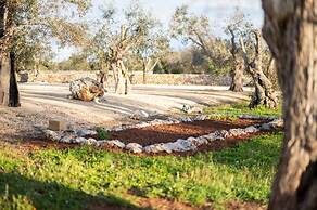Stunning Villa Surrounded by Olive Trees - Beahost