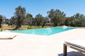 Stunning Villa Surrounded by Olive Trees - Beahost