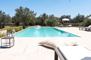 Stunning Villa Surrounded by Olive Trees - Beahost