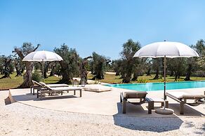 Stunning Villa Surrounded by Olive Trees - Beahost
