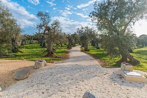 Stunning Villa Surrounded by Olive Trees - Beahost