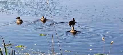 Clinton Pond Bed and Breakfast