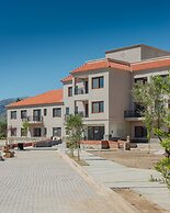 Buena Vid by Chadel Management