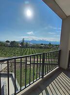 Buena Vid by Chadel Management