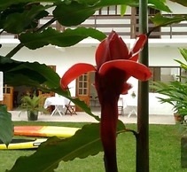 Pousada Ubatuba Itaguá