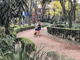 Condesa Residence  Amsterdam 179