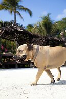 Akuazul Resorts Adults Only