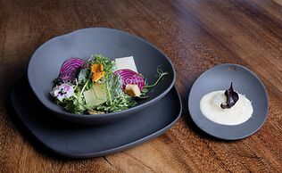 Akuazul Resorts Adults Only