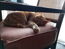 Garway Lodge Guest House