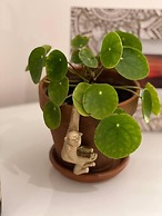 Stylish Studio Flat Near Central London