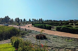 HOP Mykonos en Playa y Naturaleza de Chincha