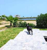 HOP Mykonos en Playa y Naturaleza de Chincha