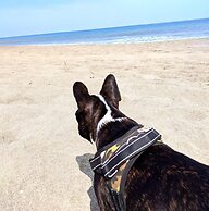 HOP Odaiba Exclusiva Laguna y Playa en Chincha