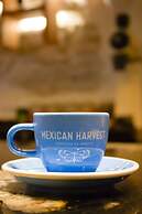 HOTEL BOUTIQUE CASONA 65