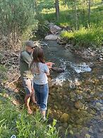 Antlers on the Creek Bed & Breakfast