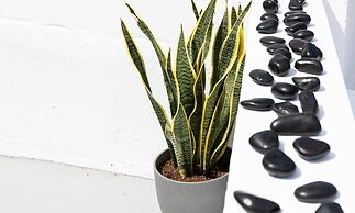 Christos Suite With Outdoor Hot Tub And Sea View