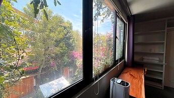 Terraza & Loft San Ángel