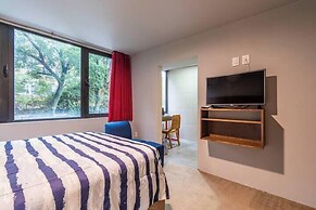 Terraza & Loft San Ángel