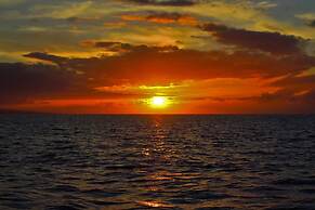 International Colony Club 37