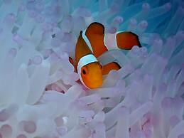 Wai Resort - Raja Ampat