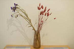 Solonos Vibe in Athens