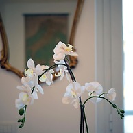 Homethic Piramide in Rome