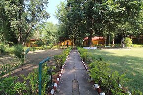 Ashoka Jungle Resort