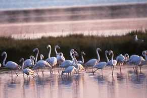 Experience Comfort by the Coast - Beahost Rentals