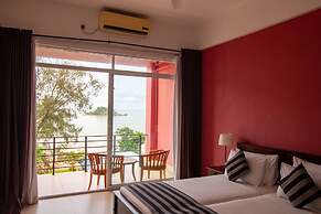 Twenty- Two Dazzle Bay