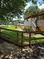 The Ailanthus Cottage