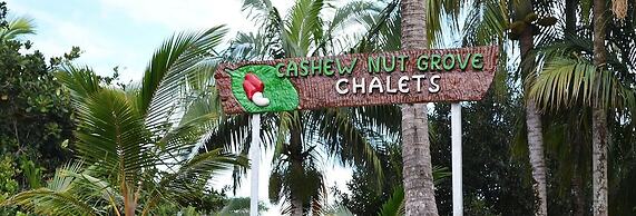 Cashew Nut Grove Chalets