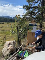 Black Hills Cabins at Quails Crossing