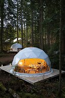 Stay Wilder - Adults Only