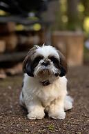 Stay Wilder - Adults Only