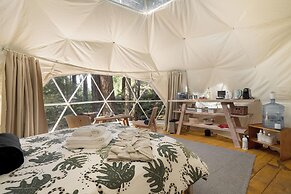 Stay Wilder - Adults Only