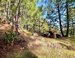 Cabañas Real Victoria