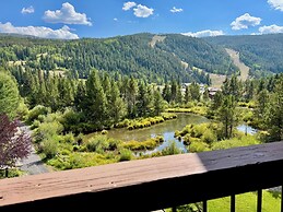 Cinnamon Ridge D323