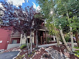 Cinnamon Ridge D323