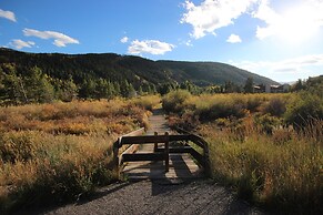 Cinnamon Ridge D323