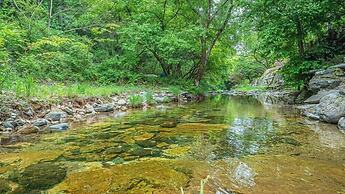 pu leun cho won ui jib