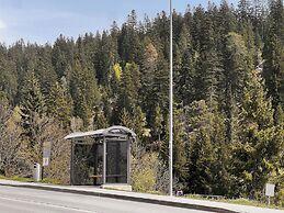 Black Summit Boutique Resort Laax