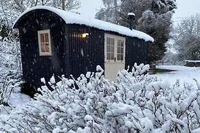 1 Bed Glamping Hut - Firepit, Fireplace, Views