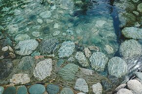 Mountain View Hot Spring Resort