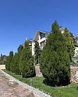 Mountain View Hot Spring Resort