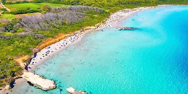 AGRITURISMO LE TAGLIATE