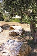 AGRITURISMO LE TAGLIATE