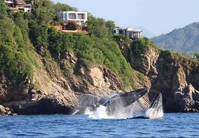 Paraiso de los Angeles